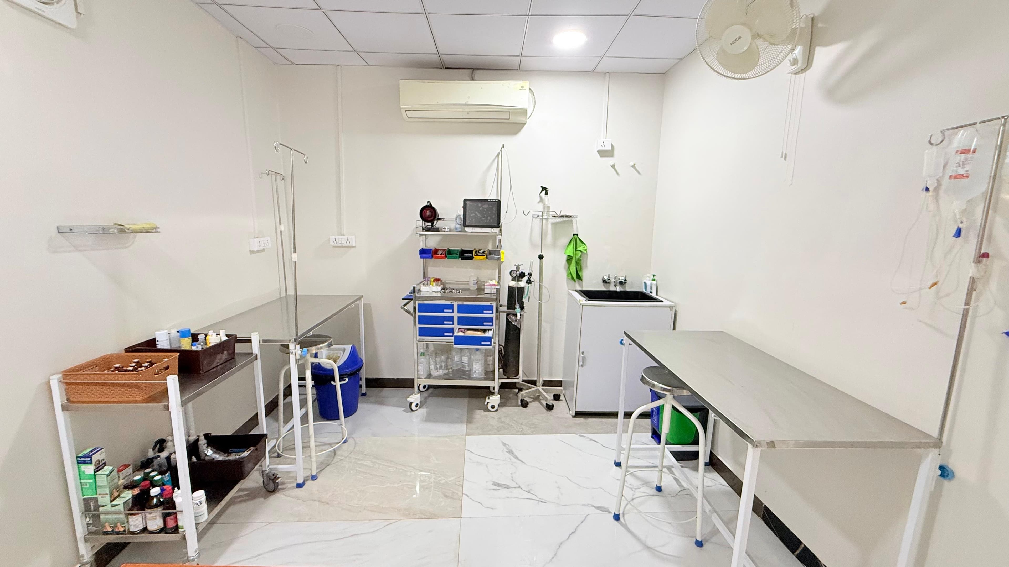 Clinical treatment room inside Milli Memorial Dog Hospital